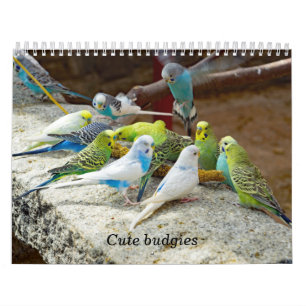 Calendario Pequeños codos - instantáneas de los pequeños pája