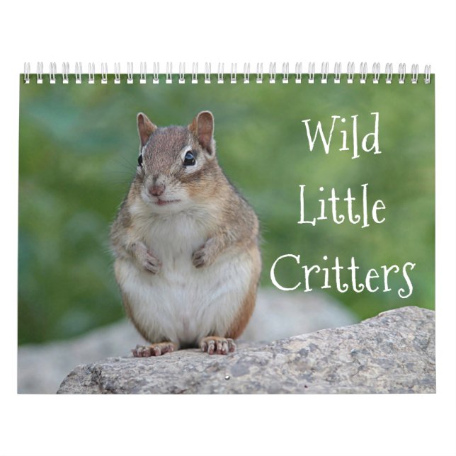 Calendario Pequeños critters salvajes (Tapa)