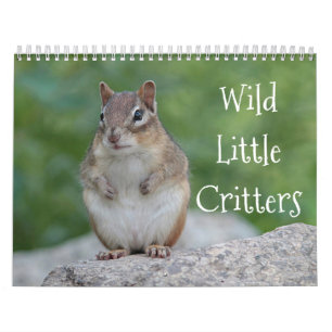 Calendario Pequeños critters salvajes
