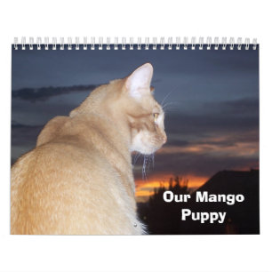 Calendario Perrito del mango