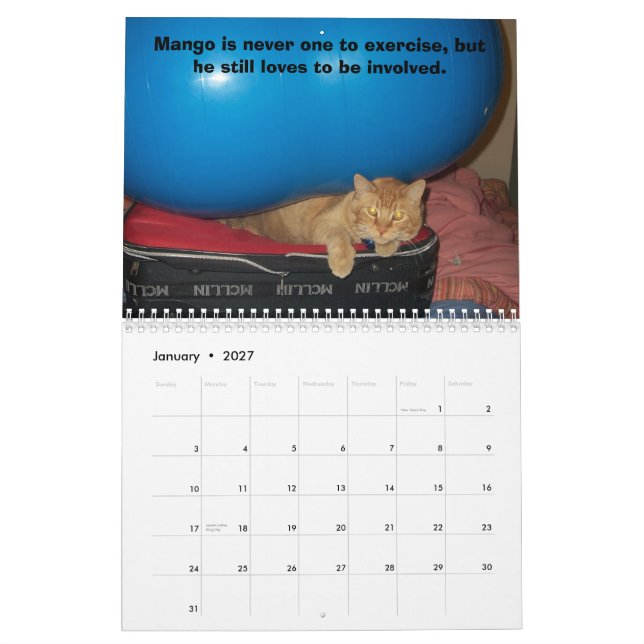 Calendario Perrito del mango (Jan 2027)