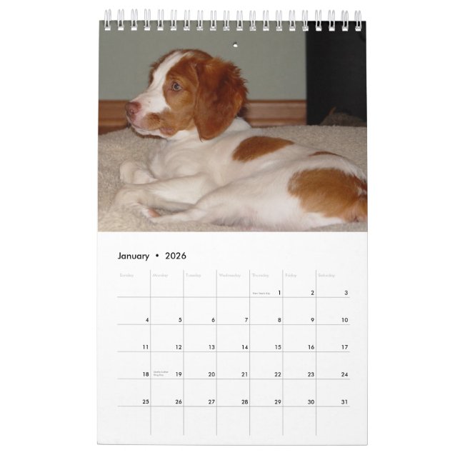 Calendario Perritos 2008 de Bretaña (Jan 2026)
