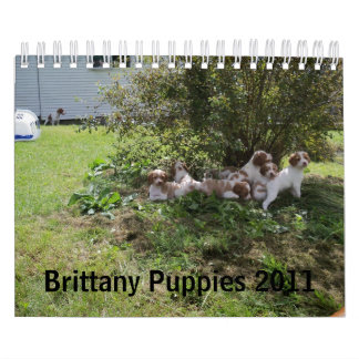 Calendario Perritos 2011 de Bretaña