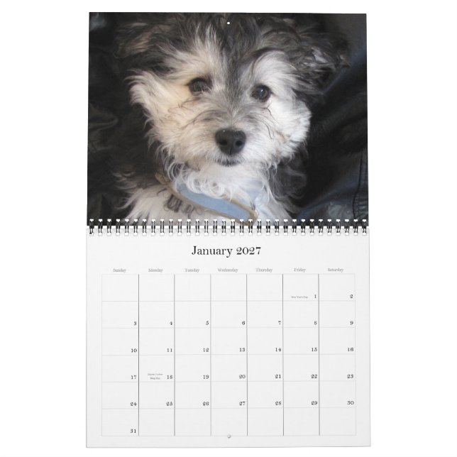 Calendario Perritos 2011 de Havanese Rescu (Jan 2027)