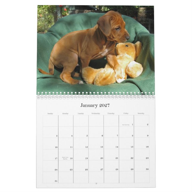 Calendario Perritos 2012 de Rhodesian Ridgeback (Jan 2027)