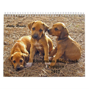 Calendario Perritos 2012 de Rhodesian Ridgeback