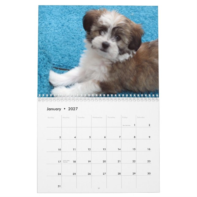 Calendario Perritos 2012 del rescate de Havanese (Jan 2027)
