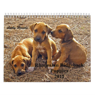Calendario Perritos 2013 de Rhodesian Ridgeback