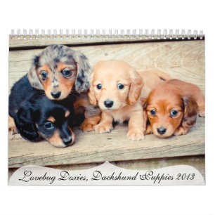 Calendario Perritos 2013 del Dachshund