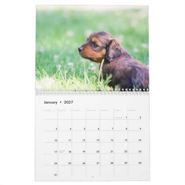 Calendario Perritos 2013 del Dachshund (Jan 2027)