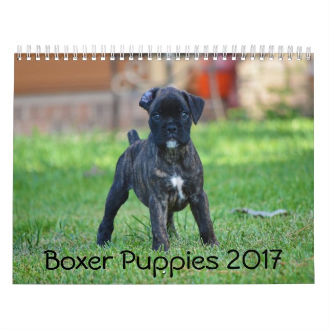Calendario Perritos 2017 del boxeador (Tapa)