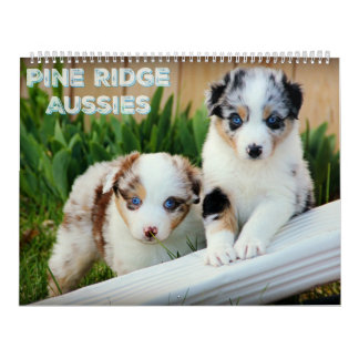 Calendario Perritos australianos del pastor