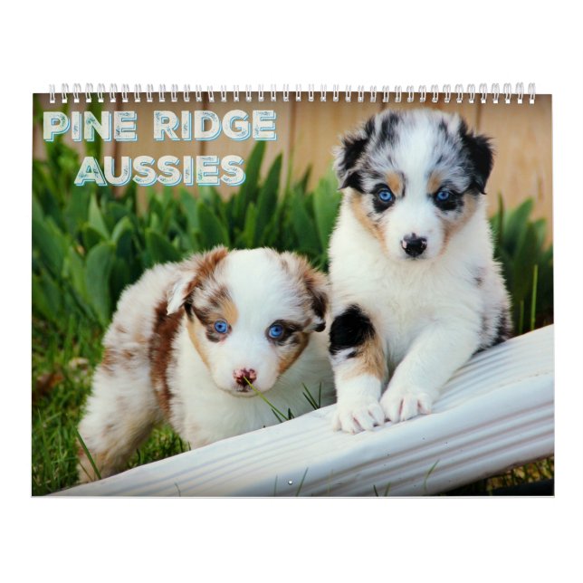 Calendario Perritos australianos del pastor (Tapa)