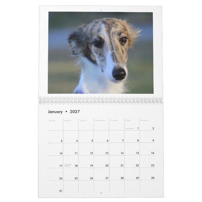 Calendario Perritos de seda 2013 de Windhound (Jan 2027)