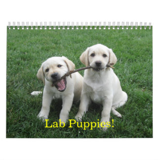 Calendario ¡Perritos del laboratorio!