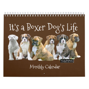 Calendario Perritos lindos del boxeador