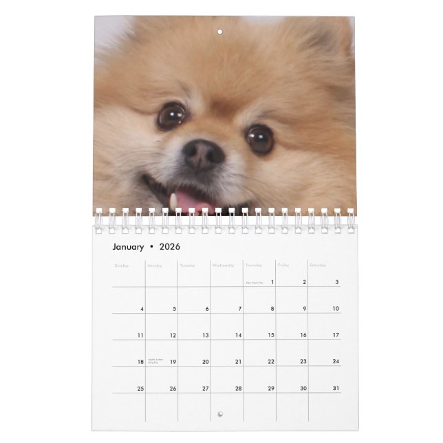 Calendario Perro (Jan 2026)