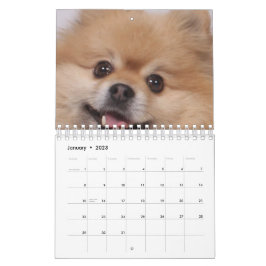Calendario Perro