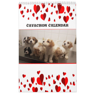 Calendario Perro Cute Cavachon