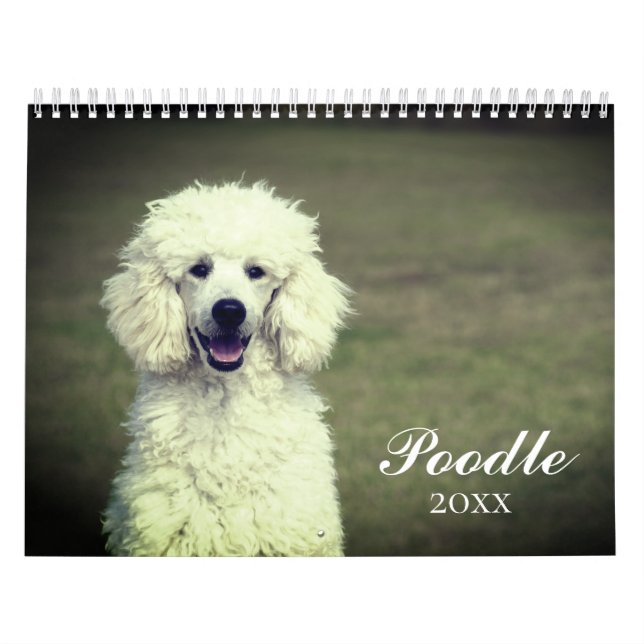 Calendario Perro Cute Poodle (Tapa)
