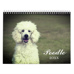 Calendario Perro Cute Poodle