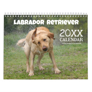 Calendario Perro Labrador Retriever Amarillo Lindo