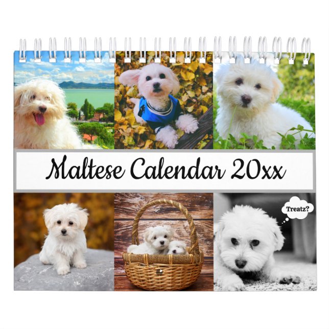 Calendario Perro maltés (Tapa)