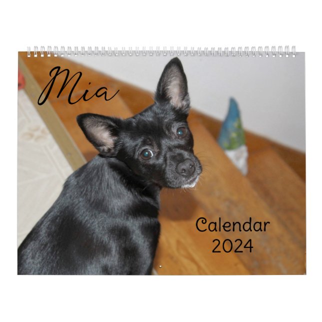 Calendario Perro Mia Chihuahua 2024 (Tapa)