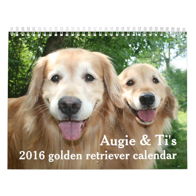 Calendario Perro recuperador de oro 2016 de Augie y Ti (Tapa)
