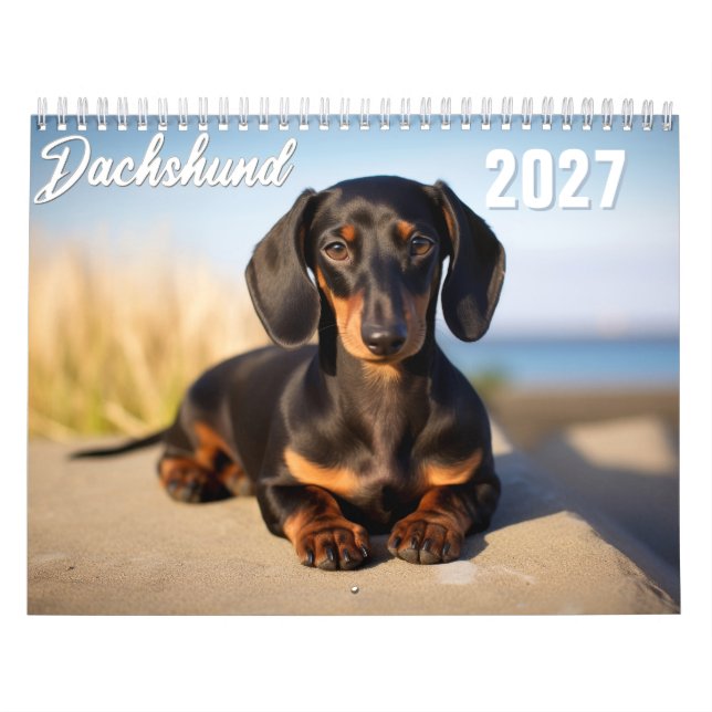 Calendario Perro salchicha 2027 (Tapa)