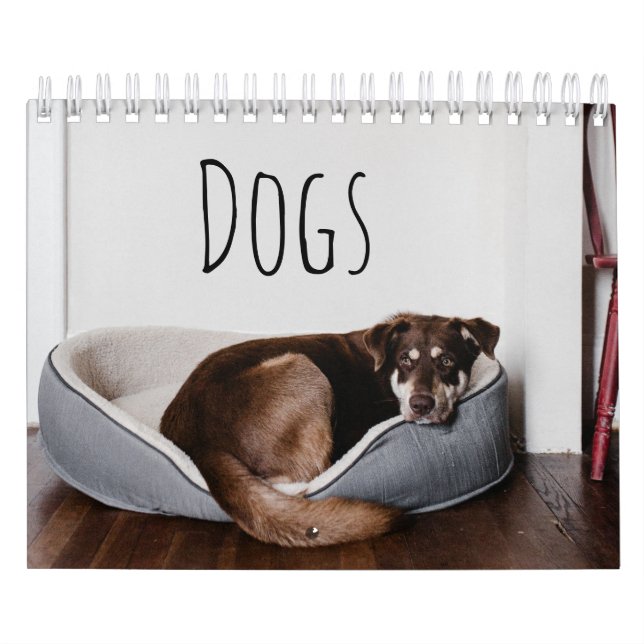 Calendario Perros (Tapa)