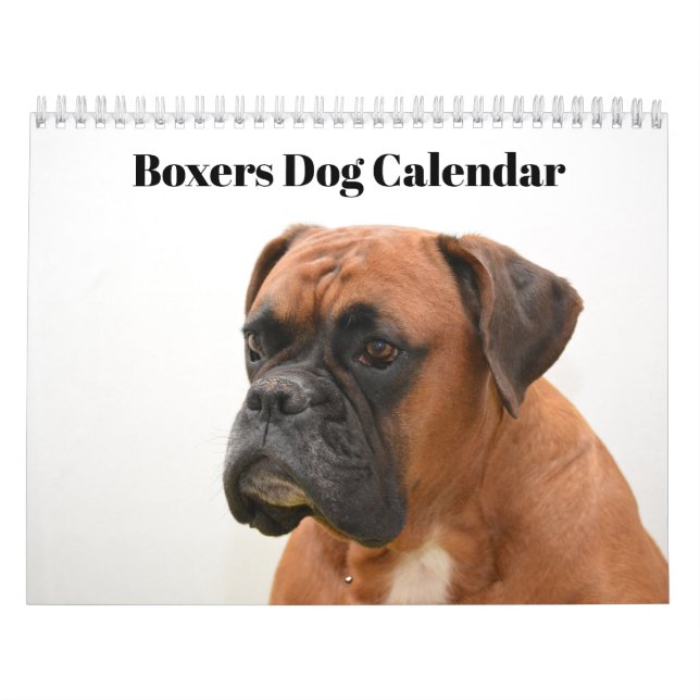 Calendario Perros Boxers 2020 (Tapa)