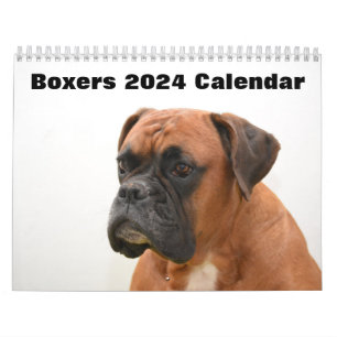 Calendario Perros Boxers 2024