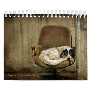 Calendario Perros callejeros