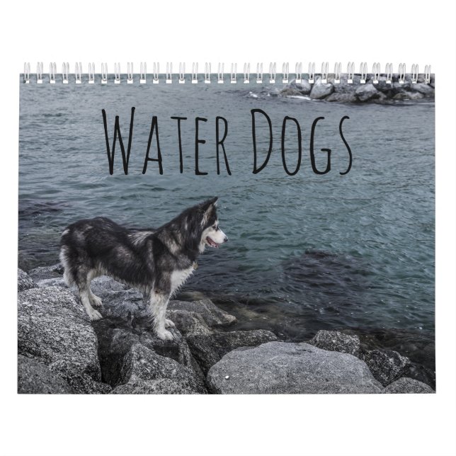 Calendario Perros de agua (Tapa)
