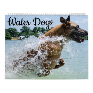 Calendario Perros de agua