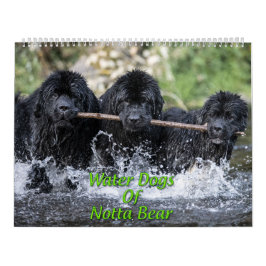 Calendario Perros De Agua Del Oso De Notta