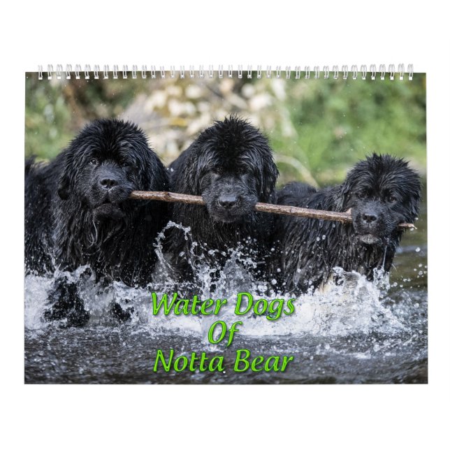 Calendario Perros De Agua Del Oso De Notta (Tapa)