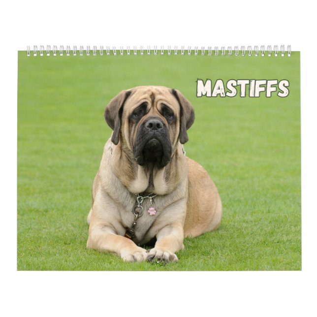 Calendario Perros de castiff, esposas (Tapa)