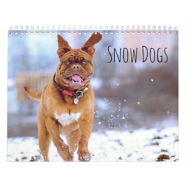 Calendario Perros de nieve (Tapa)