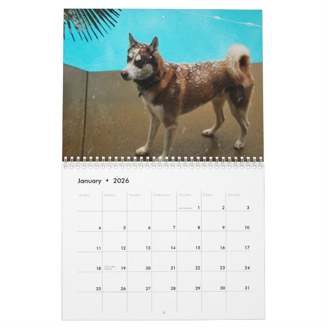 Calendario Perros esquimales 2010 (Jan 2026)