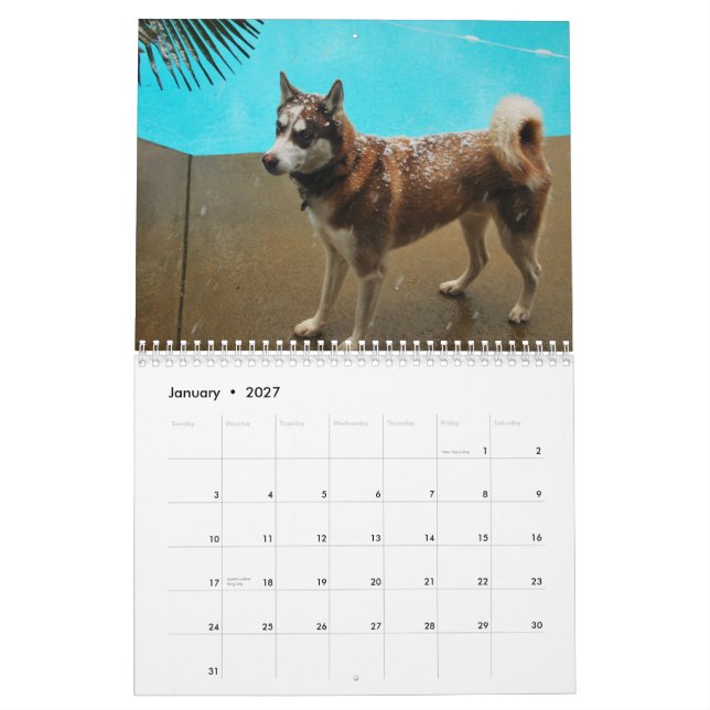 Calendario Perros esquimales 2010 (Jan 2027)