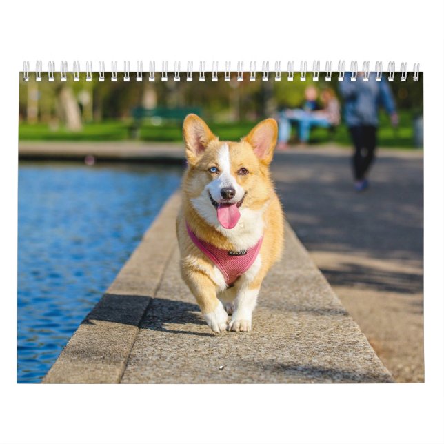 Calendario Perros Lindos Minimalismo Simple (Tapa)