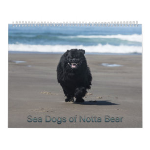 Calendario Perros marinos de Notta Bear