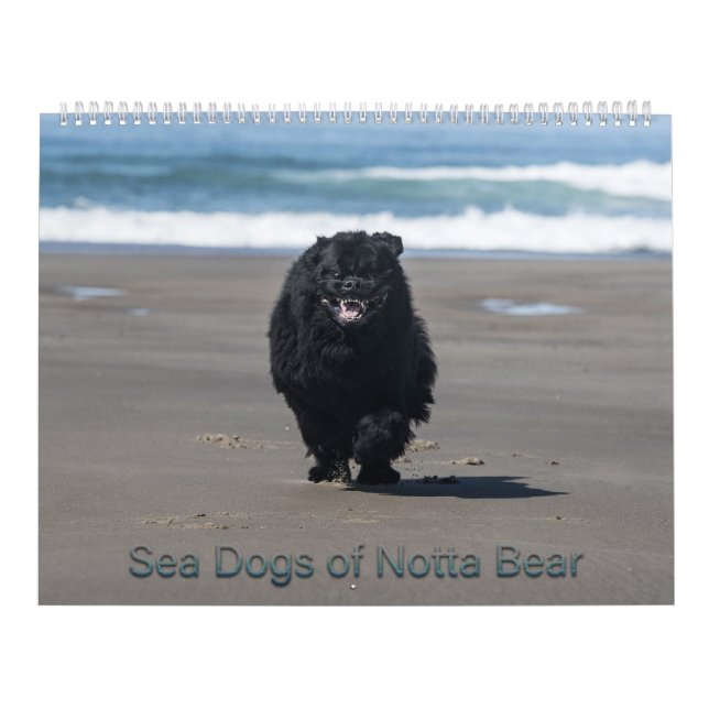 Calendario Perros marinos de Notta Bear (Tapa)