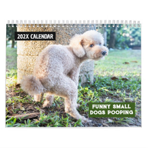 Calendario Perros pequeños divertidos en Pooping 2026