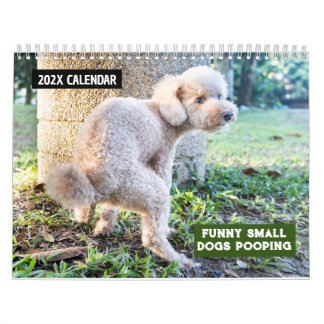 Calendario Perros pequeños divertidos en Pooping 2026