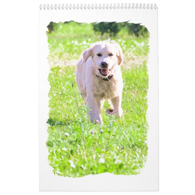 Calendario Perros perdigueros de oro (Tapa)