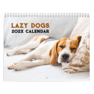 Calendario Perros Perezosos Divertidos Personalizados 2027