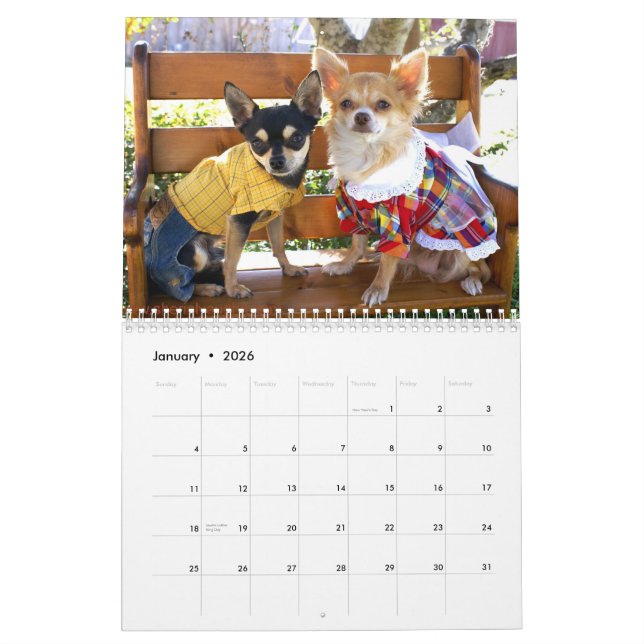 Calendario Perros que viven como seres humanos de Sherial (Jan 2026)